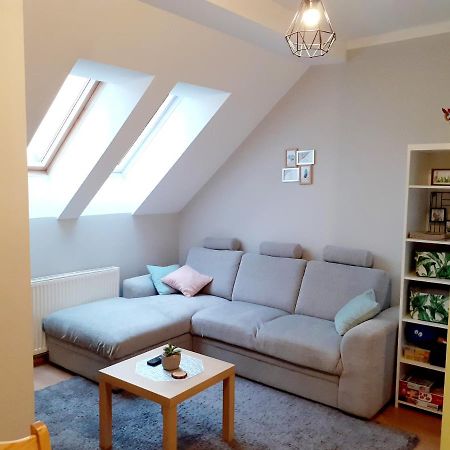 Apartament Kaktus Mrągowo Buitenkant foto