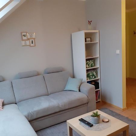 Apartament Kaktus Mrągowo Buitenkant foto