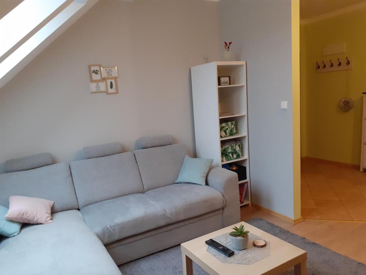 Apartament Kaktus Mrągowo Buitenkant foto